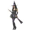 California Costumes Wicked Witch Women's Costume Halloween 1 California Costumes Wicked Witch Women's Costume Halloween