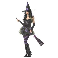 California Costumes Wicked Witch Women's Costume Halloween