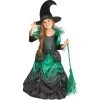 Fun World Halloween Emerald Witch Toddler Girl's Costume