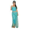 Dreamgirls Halloween Arabian Princess Women's Costume