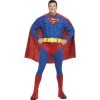 Rubies Superman Muscle Chest Plus Size Costume