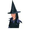 Rubies Witch Hat W/ Hair Halloween