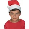 Rubies Santa Hat Christmas