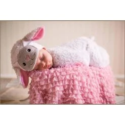Charades Ryan The Lamb Bunting Infant Costume Halloween