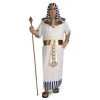 Forum Novelty Halloween Pharoah Plus Size Costume