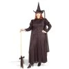 Forum Novelty Classic Witch Plus Size Costume Halloween