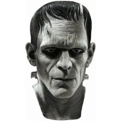 Rubies Halloween Frankenstein Silver Screen Mask