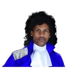 Underwraps Halloween Pop Rock Star Wig