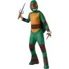 Rubies Halloween Teenage Mutant Ninja Turtles-Raphael Boy's Costume