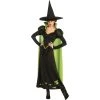 Rubies Halloween Wicked Witch Women's Costume - Wizard Of Oz