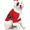 Rubies Pet Costume - Santa Claus Pet Costumes