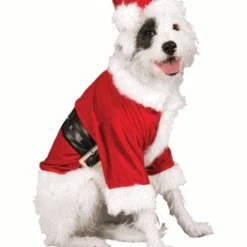 Rubies Pet Costume - Santa Claus Pet Costumes