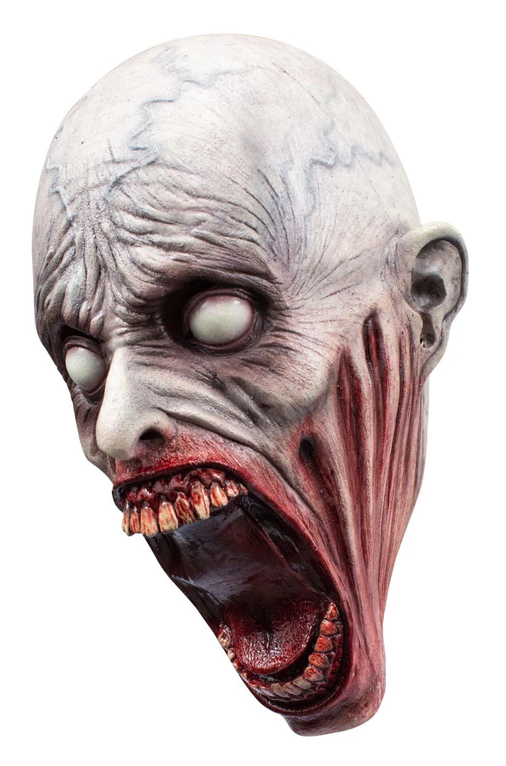 Ghoulish Productions Masks The Shy Guy Adult Mask 3 Ghoulish Productions Masks The Shy Guy Adult Mask