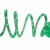 Arett 15' Green LED Rope Light St. Patrick's Day