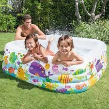 Intex Aquarium Pool