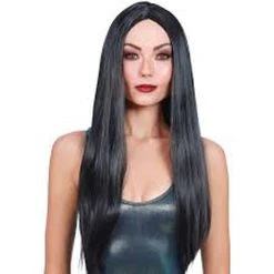 Dreamgirls Halloween Long Straight Black Wig