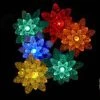Kurt Adler Christmas LED Flower Light Set