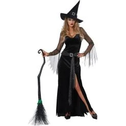 California Costumes Halloween Rich Witch Women's Costume