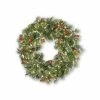National Tree Christmas 24" Wintry Pine Wreath W/ Lights